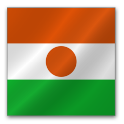 Niger: ARCEP issued New Decree No. 000010/MCP/EN/SG/DL to regulate Radio Equipment Certification and Installer Approval